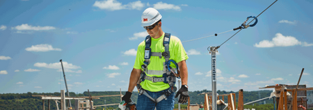 Harnesses