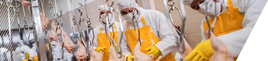 Food Processing PPE & Safety Supplies for Canadian workplaces | Keyline Safety