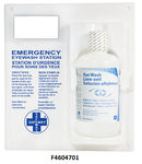 Single Portable Eyewash Station 1L Full Bottle with EyeCup - F4604701 - 2/CS