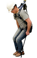 3M™ DBI-SALA® Suspension Trauma Safety Straps - 9501403 - 1/CS