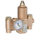 Thermostatic Mixing Valve for Plumbed in Eyewash- S19-2150 - 1/CS